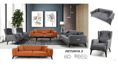 PETUNYA 2 KOLTUK TAKIMI 3+3+1+1