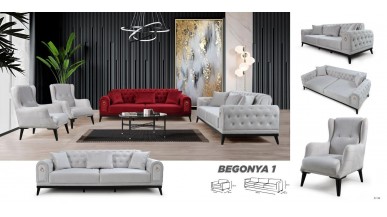 BEGONYA 1 KOLTUK TAKIMI 3+3+1+1